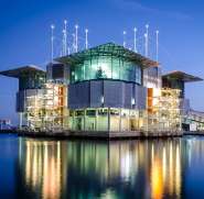 lisbon-oceanarium